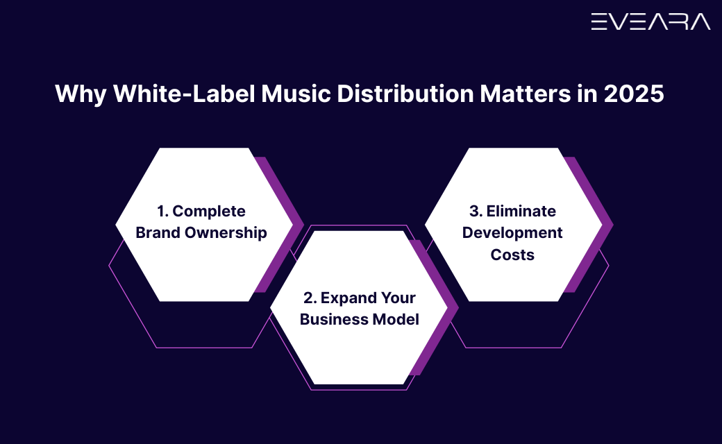 Why White-Label Music Distribution Matters in 2025